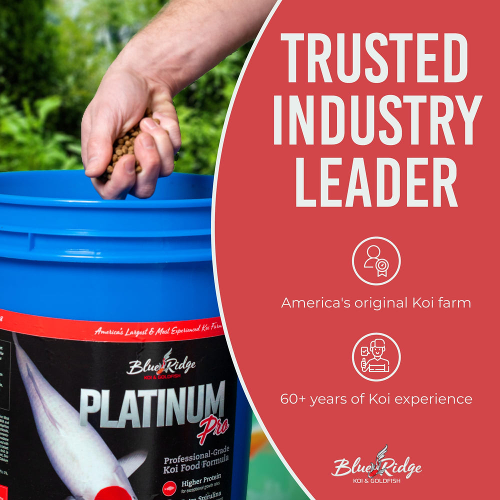Blue Ridge year-round koi food suitable for all seasons