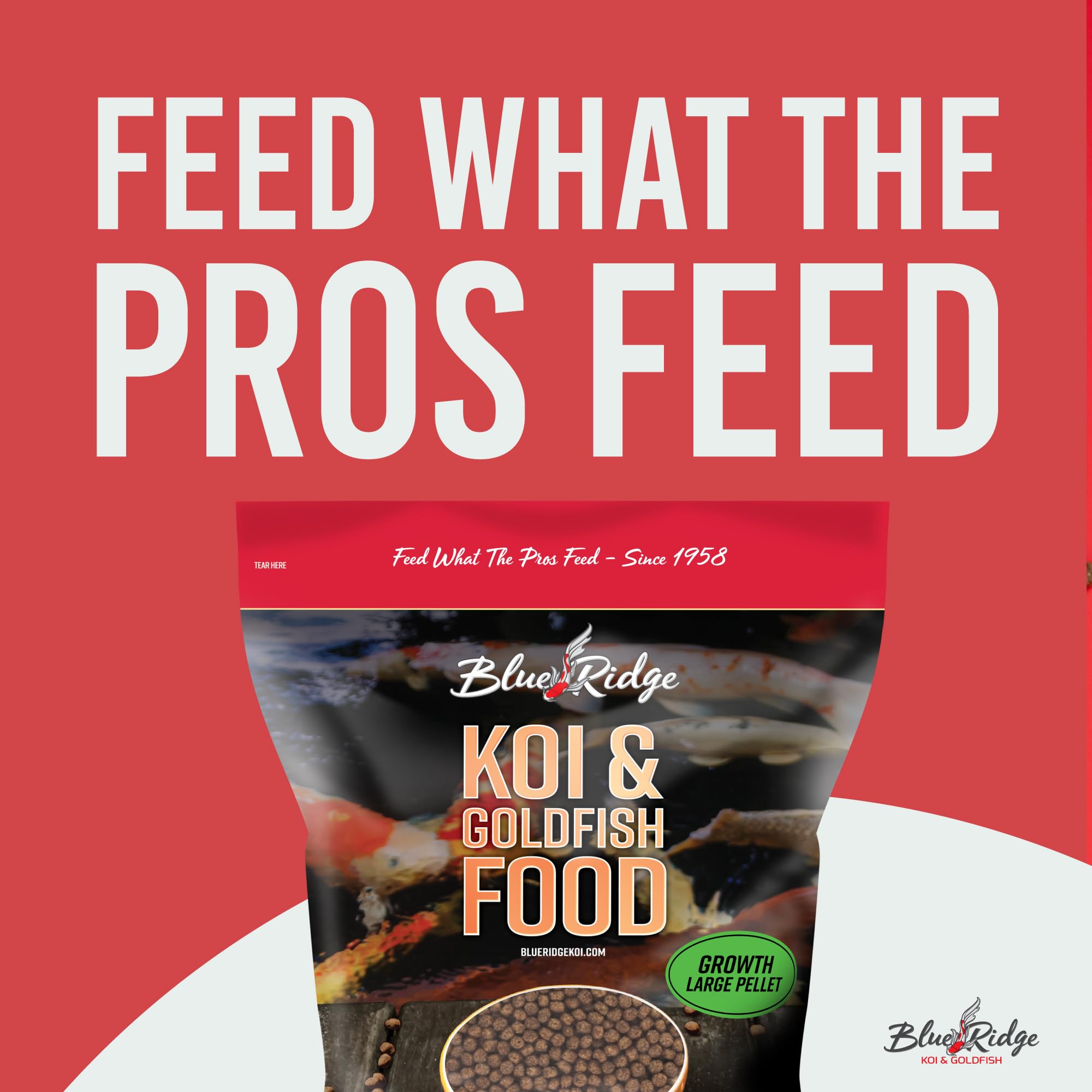 Blue Ridge Koi Food 5lb floating pellets demonstrate easy surface feeding.