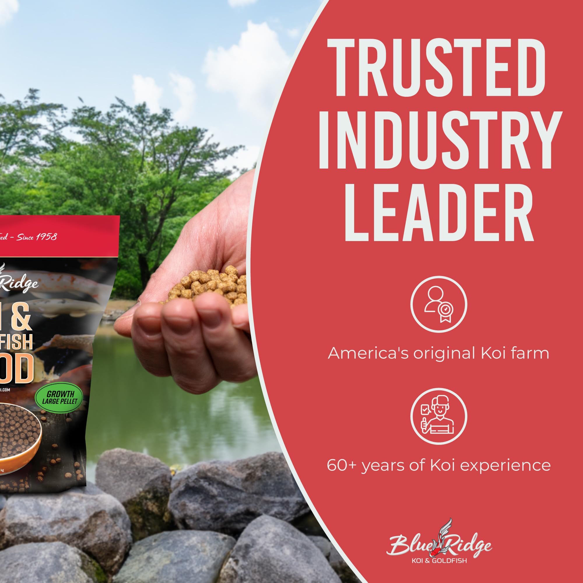 Blue Ridge Koi Food 5lb pellets being dispersed illustrate growth-focused formula.