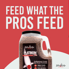 Blue Ridge Koi Food color-enhancer with spirulina and canthaxanthin promotes vibrant koi coloration.