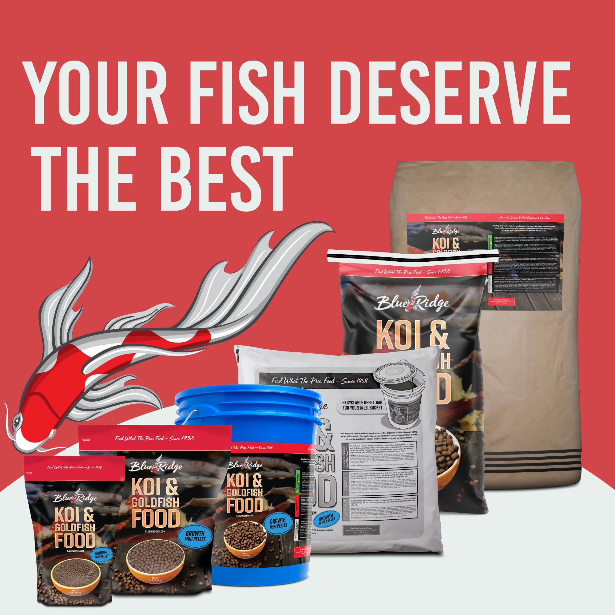 Blue Ridge Koi Food health-focused visuals of thriving koi and goldfish