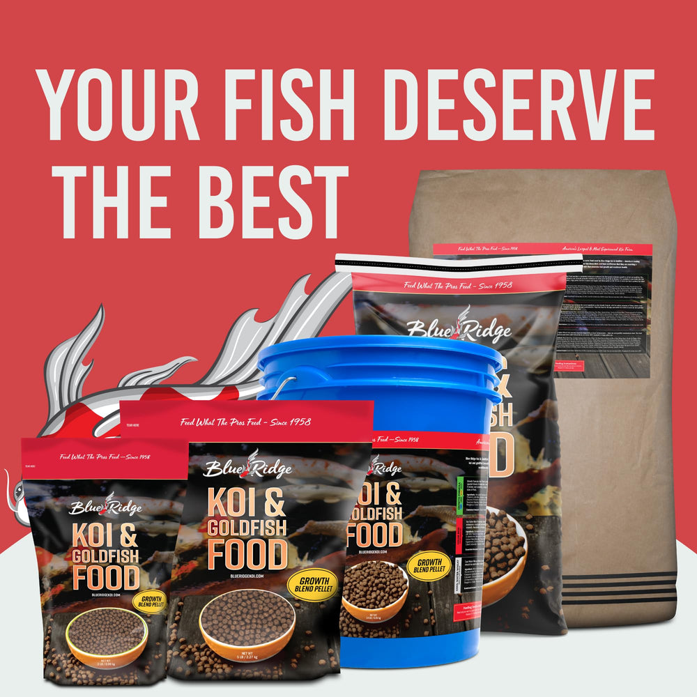 Blue Ridge Koi Food packaging shown as a 5lb bag.