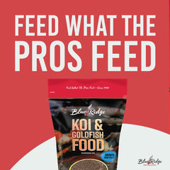 Blue Ridge Koi Food vitamin-mineral blend supports resilience and immunity