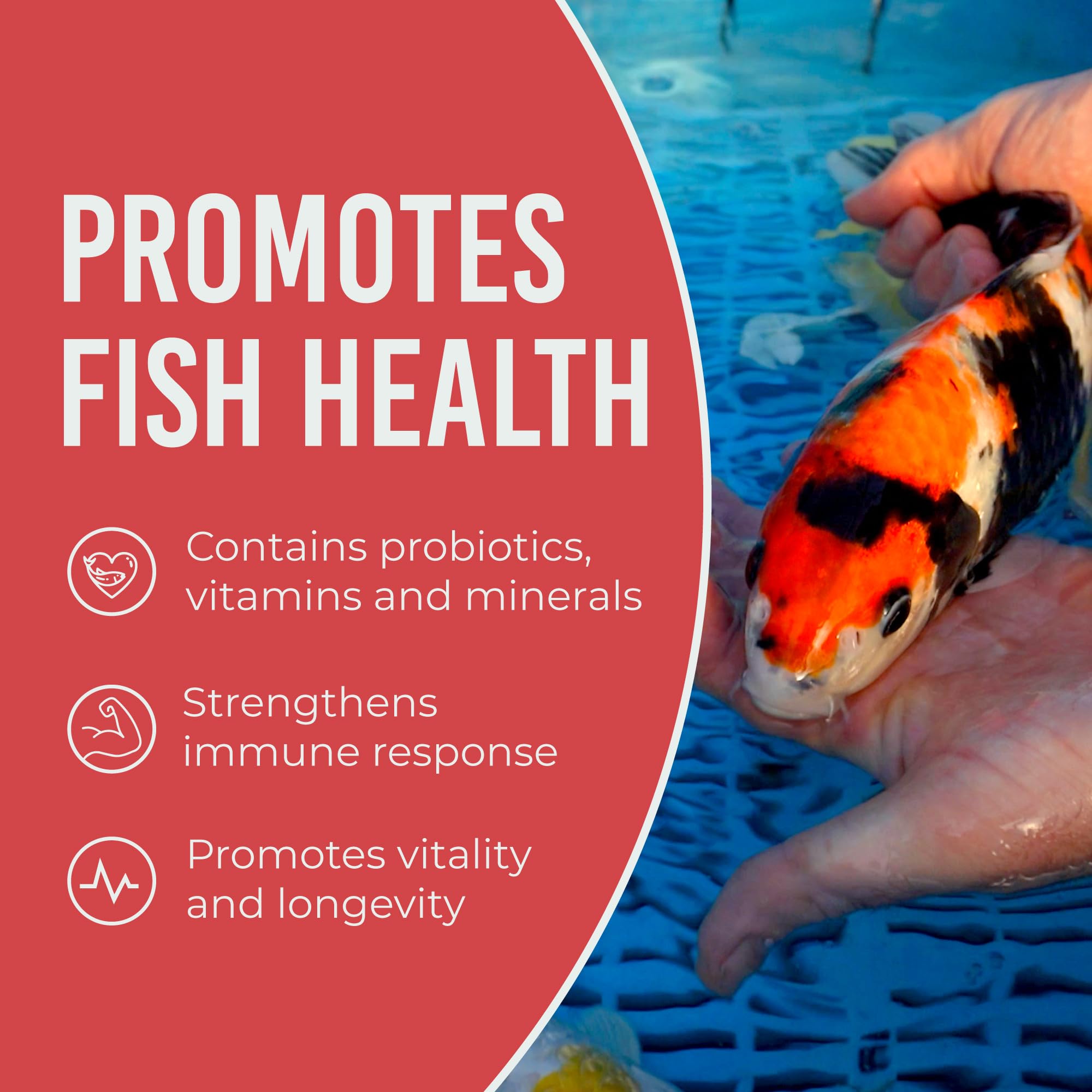 Blue Ridge USA-made fish food packaging conveying quality