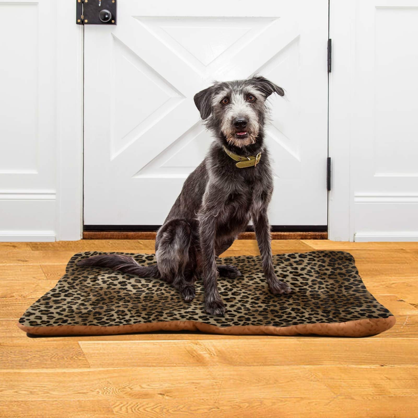 Blueangle Vintage Leopard Bed crate-floor placement for versatile lounging.