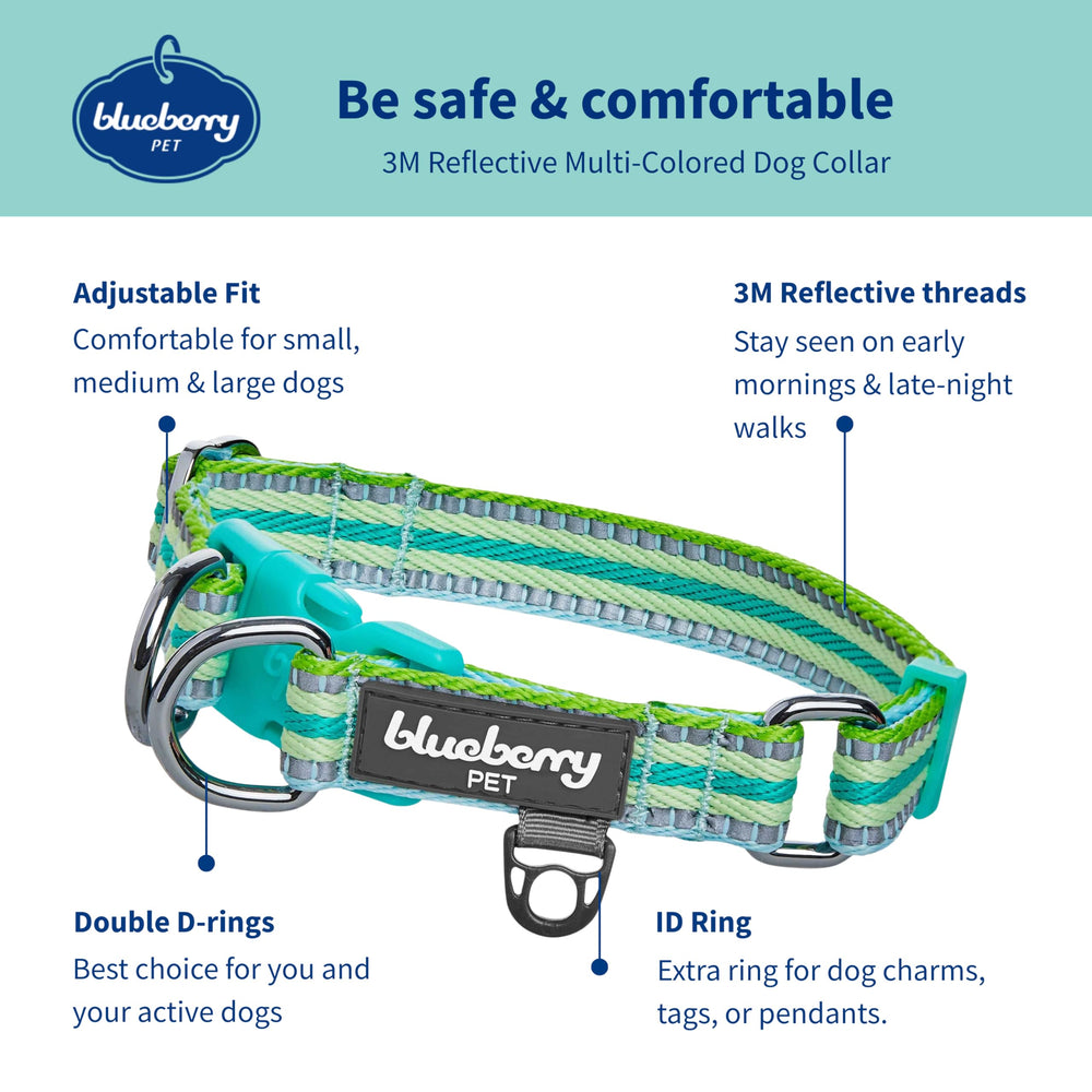 Blueberry Pet reflective collar shines at night for safer strolls.