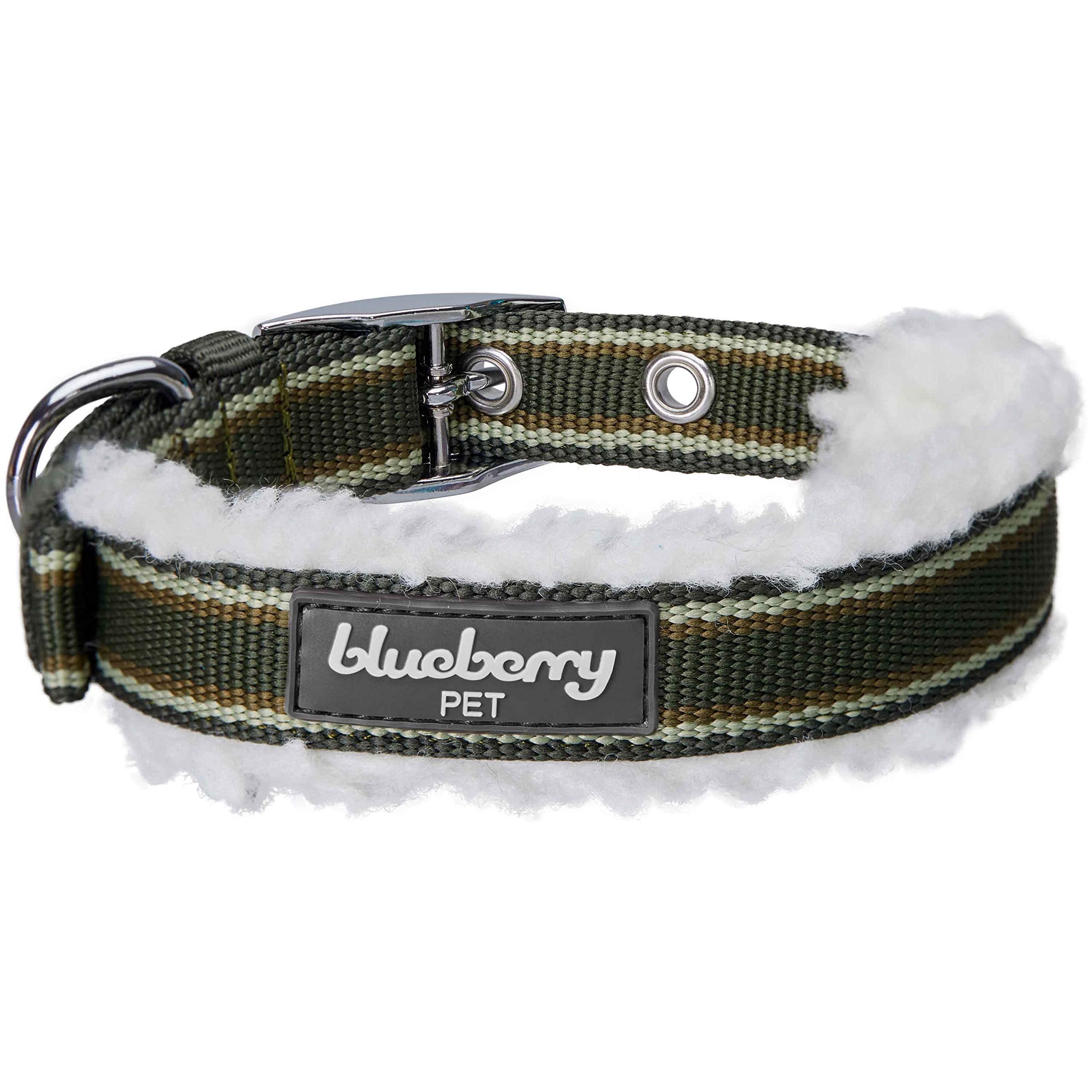 Blueberry Pet adjustable collar at 1-inch width for larger breeds.