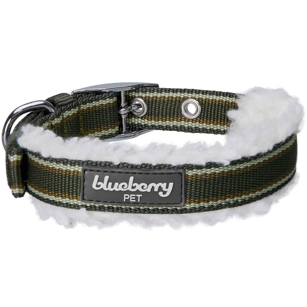 Blueberry Pet adjustable collar at 1-inch width for larger breeds.