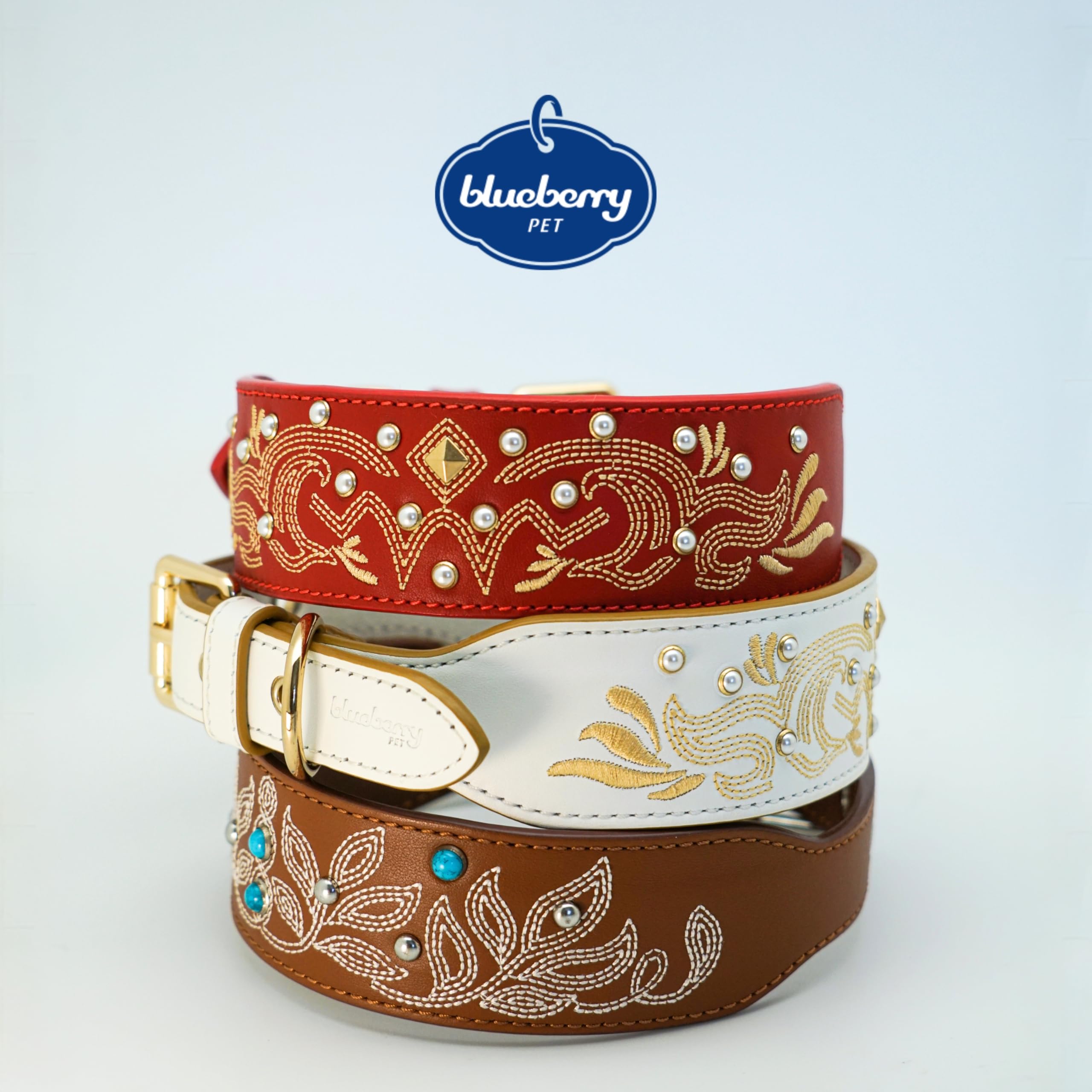 Blueberry Pet adjustable-buckle collar ensures secure fit for active dogs.