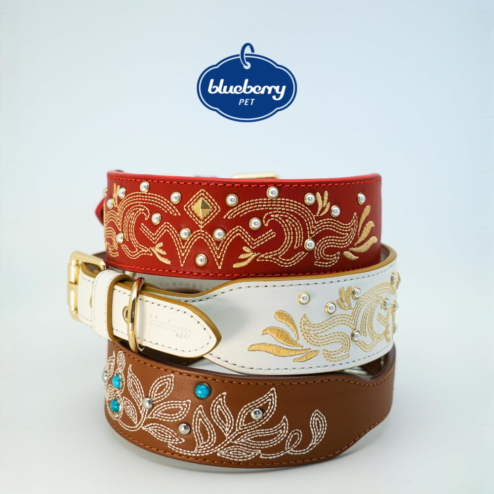Blueberry Pet adjustable-buckle collar ensures secure fit for active dogs.