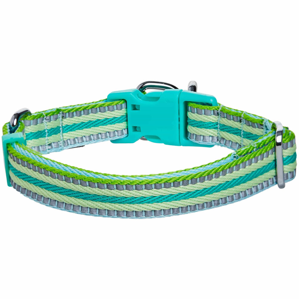 Blueberry Pet Airtag-holder collar helps you locate your dog easily.