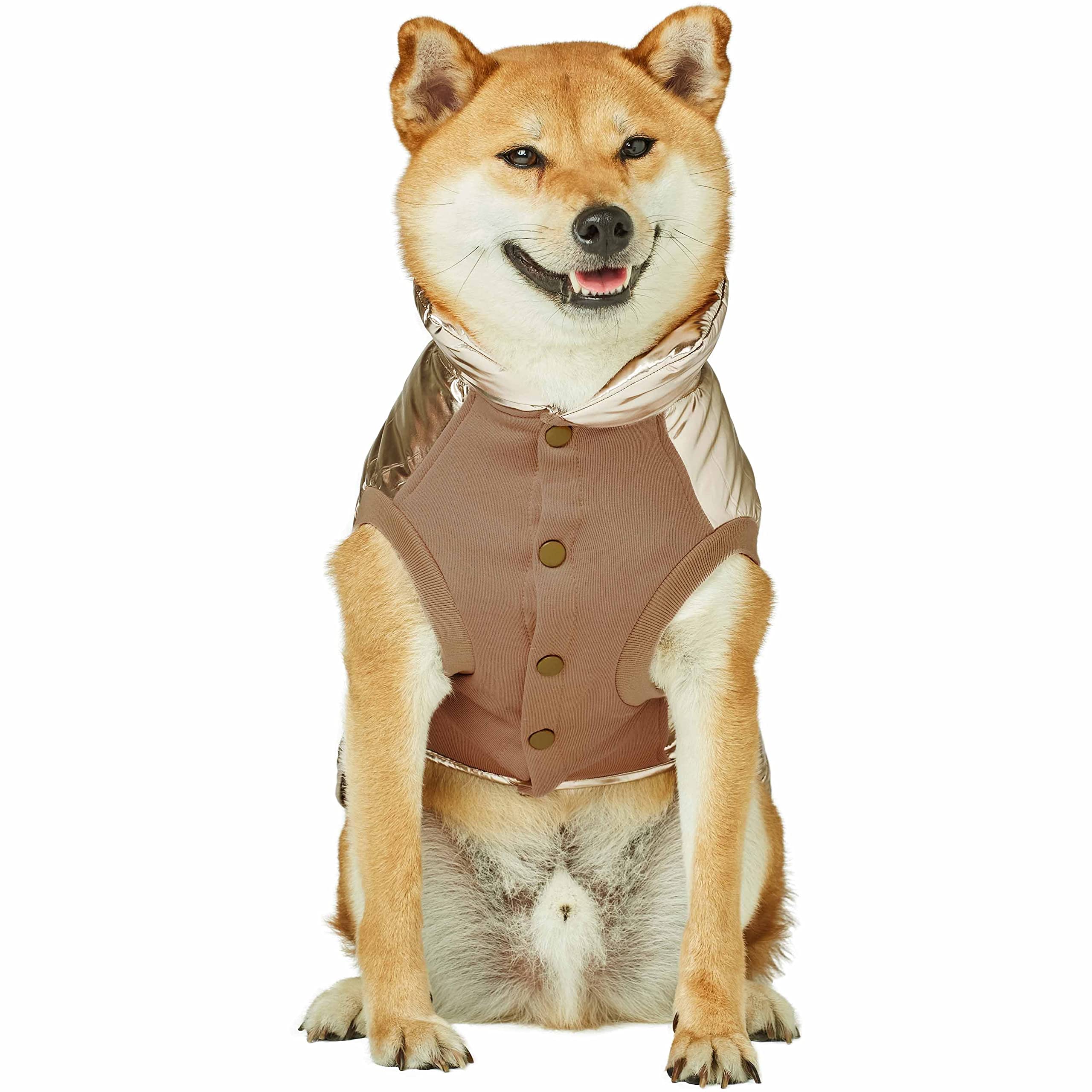 Blueberry Pet award-winning brand credibility for pet parents
