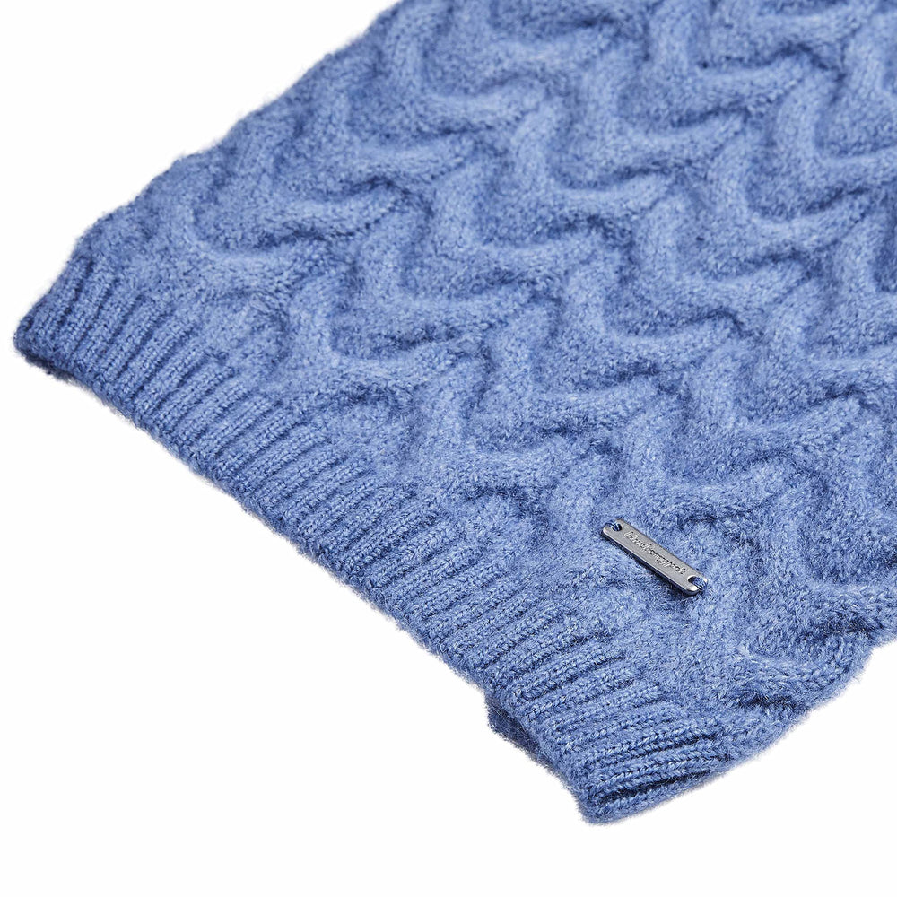 Blueberry Pet back length 18in size guide supports accurate fit.