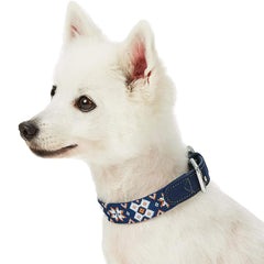 Blueberry Pet buckle detail highlights leather accent and secure closure