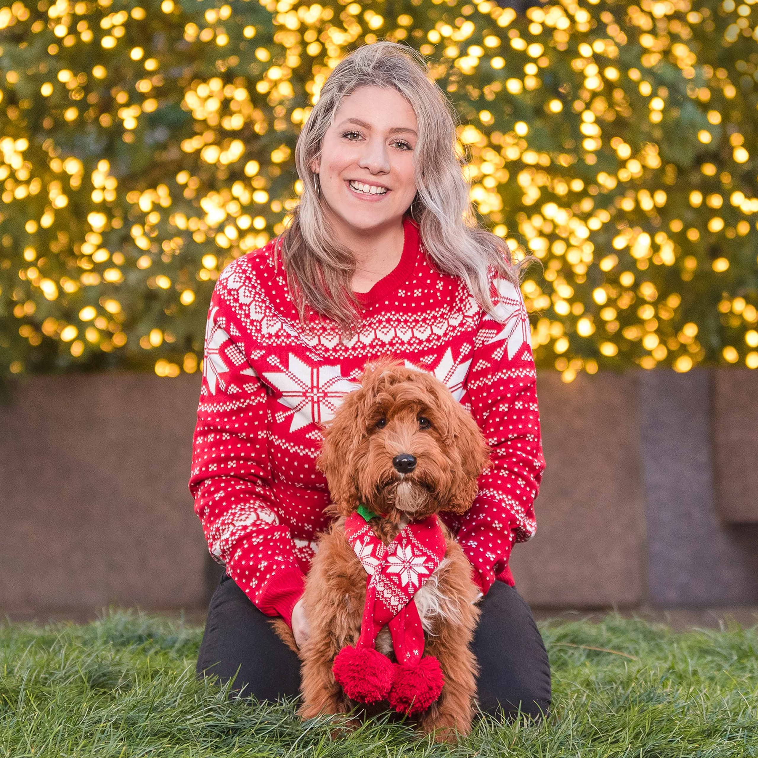 Blueberry Pet dog scarf worn; festive fair isle pattern enhances seasonal photos