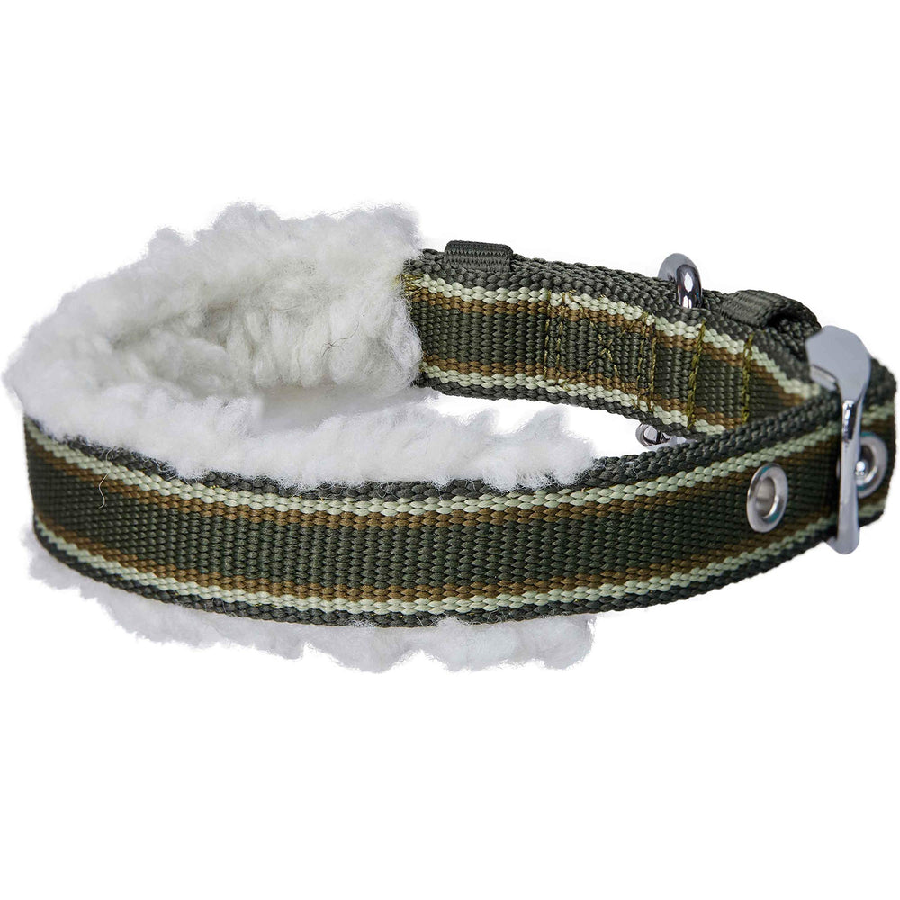 Blueberry Pet chrome steel D-ring collar for easy leash attachment.
