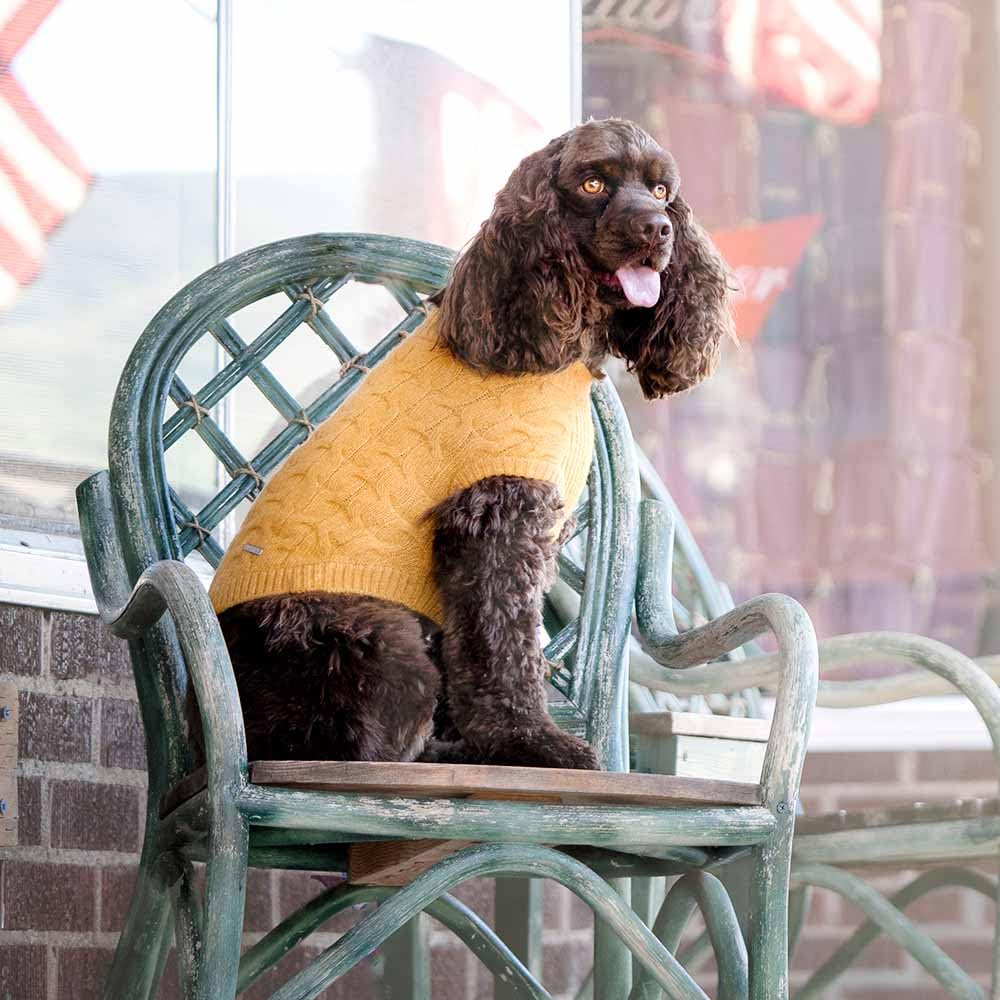 Blueberry Pet Classic Knit Dog Sweater fleece texture close-up highlights soft warmth.