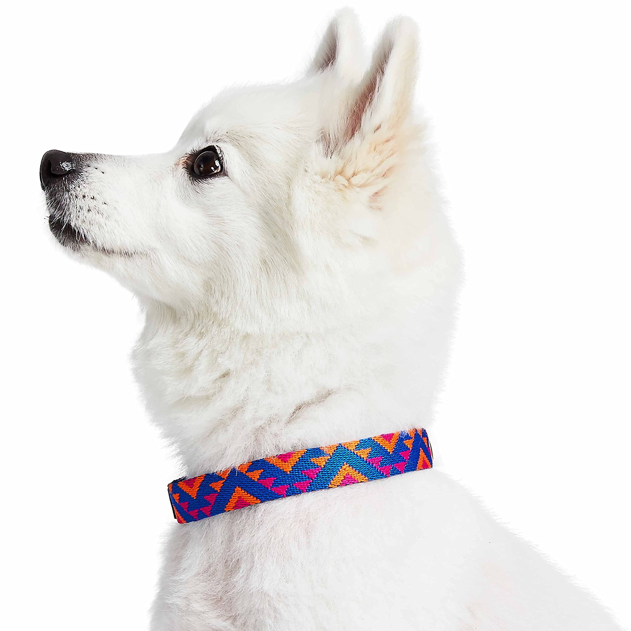 Blueberry Pet buckle detail emphasizing secure gold hardware
