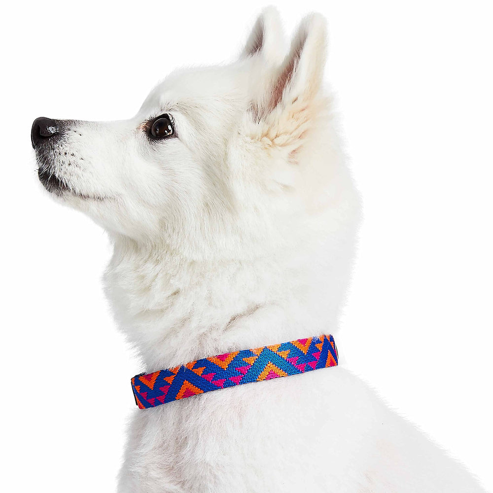 Blueberry Pet buckle detail emphasizing secure gold hardware