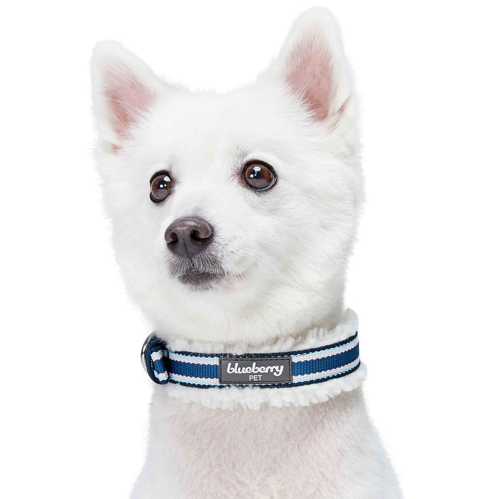 Blueberry Pet chrome D-ring detail offers reliable leash attachment.