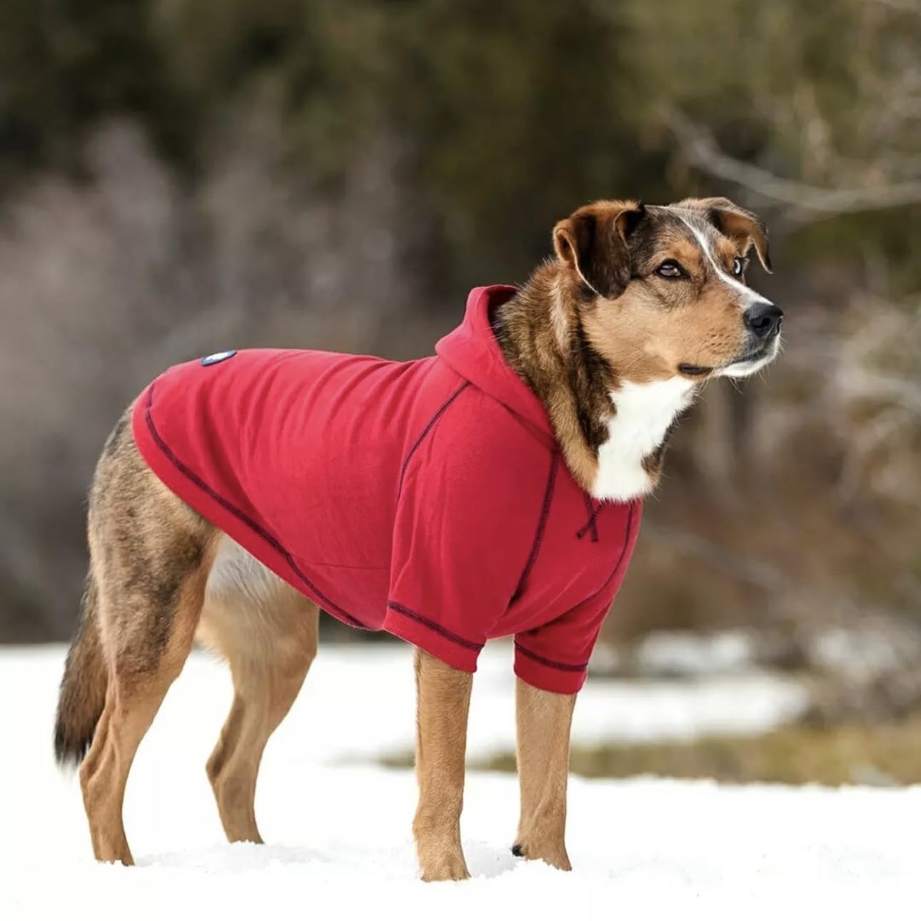 Blueberry Pet street-style red hoodie, versatile casual wear
