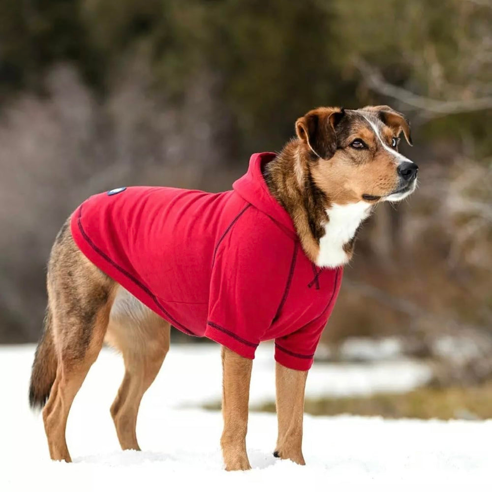 Blueberry Pet street-style red hoodie, versatile casual wear