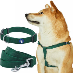 Blueberry Pet Essentials Verdant Green collar close-up highlighting durable nylon and secure hardware