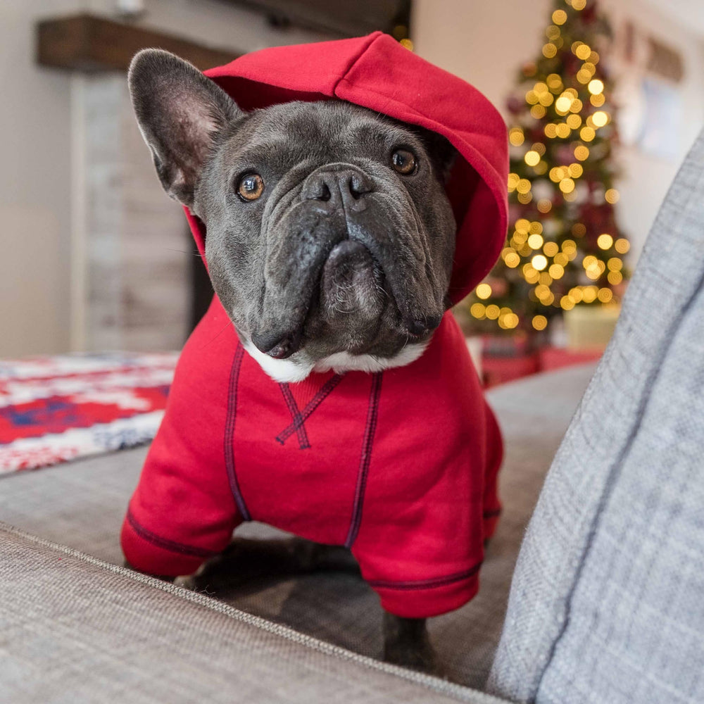 Blueberry Pet Essentials hoodie worn during walks demonstrates versatile cold-weather layer.