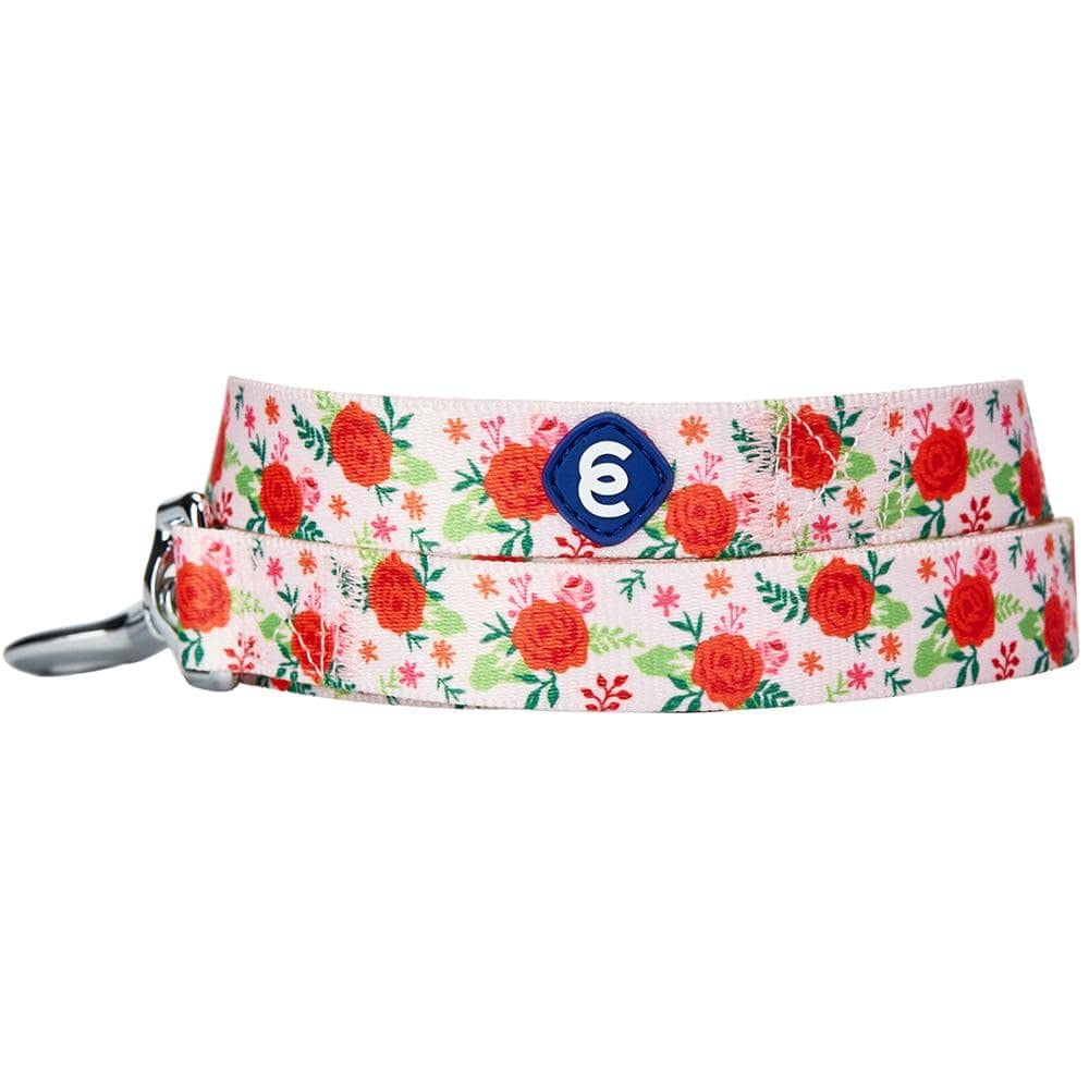 Blueberry Pet Essentials leash 5ft 5-8in durable polyester in use.