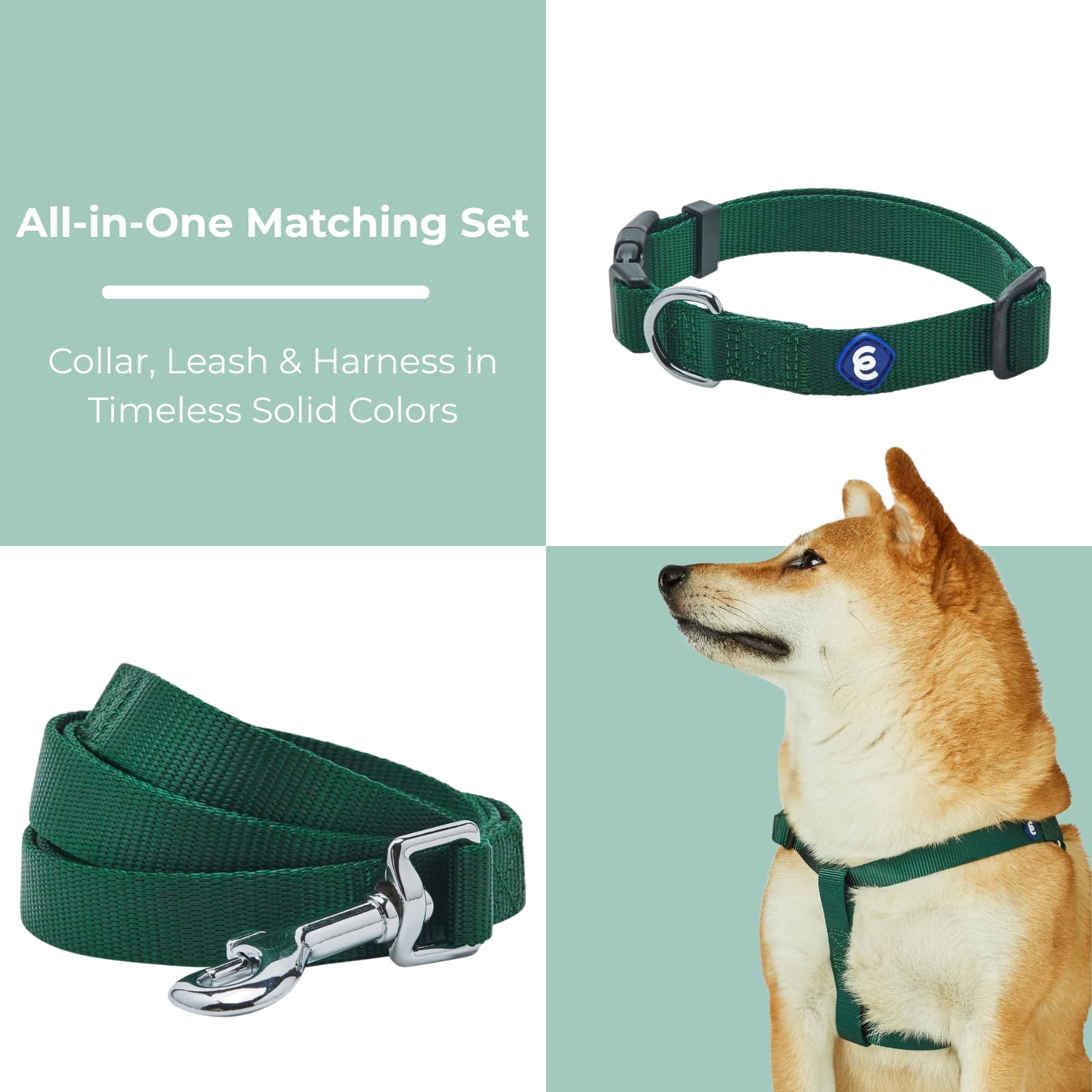 Blueberry Pet Essentials Verdant Green nylon weave texture conveys durability and comfortable grip