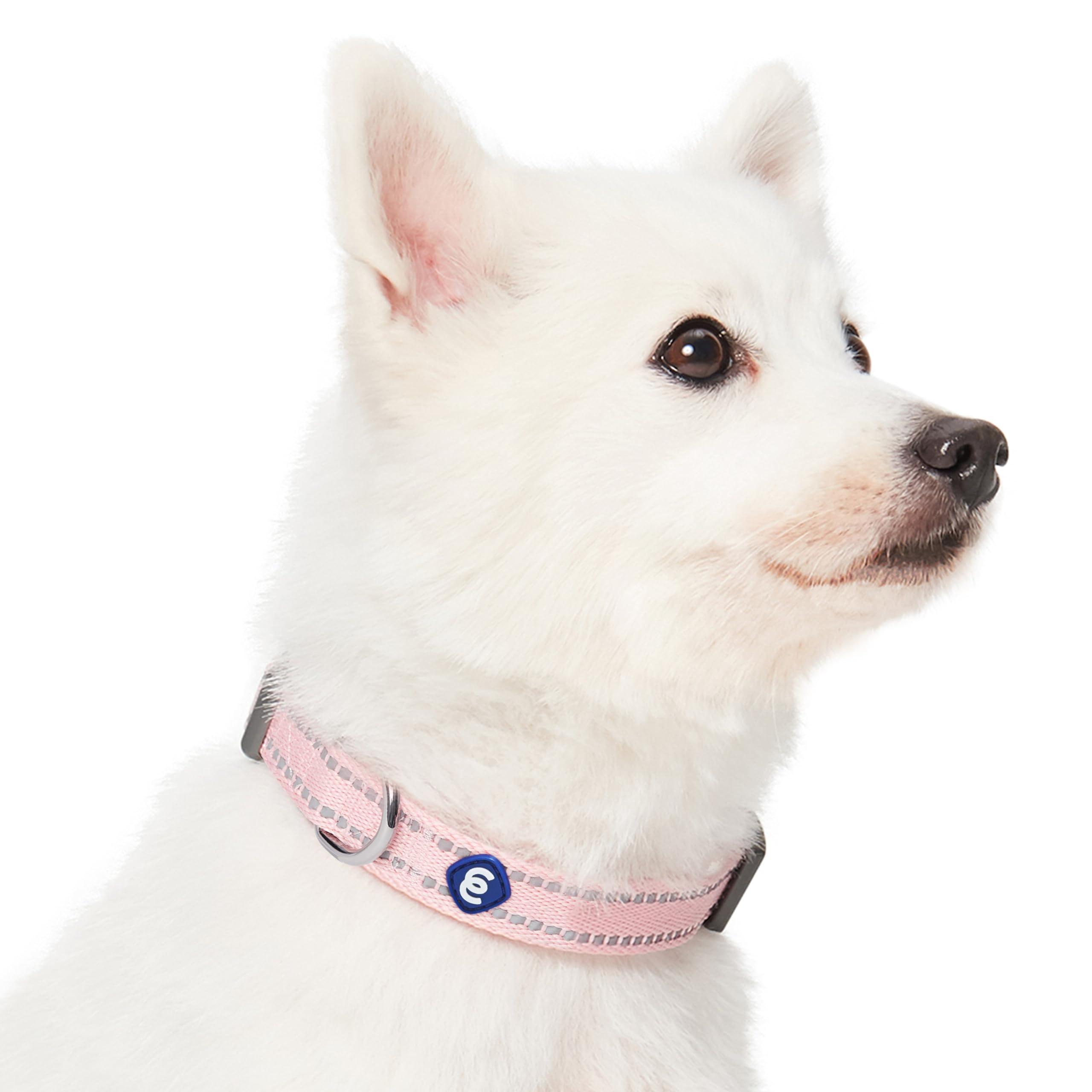 Blueberry Pet Essentials easy care collar and leash set wipe-clean for busy owners