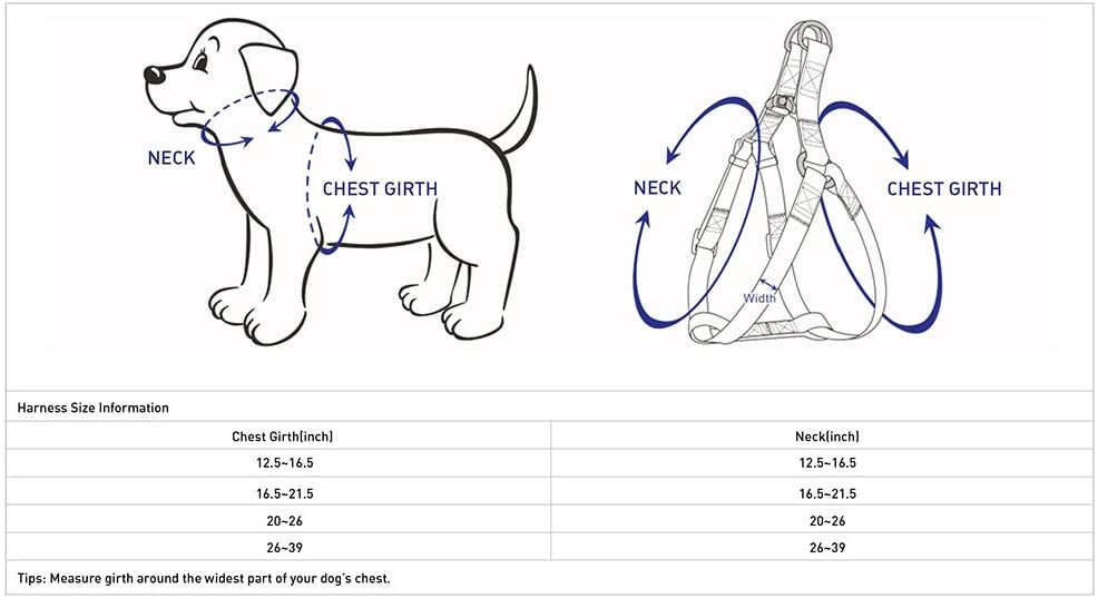 Blueberry Pet Essentials Verdant Green packaging image highlighting convenient set for large dogs