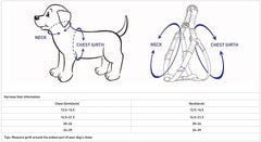 Blueberry Pet Essentials Verdant Green packaging image highlighting convenient set for large dogs