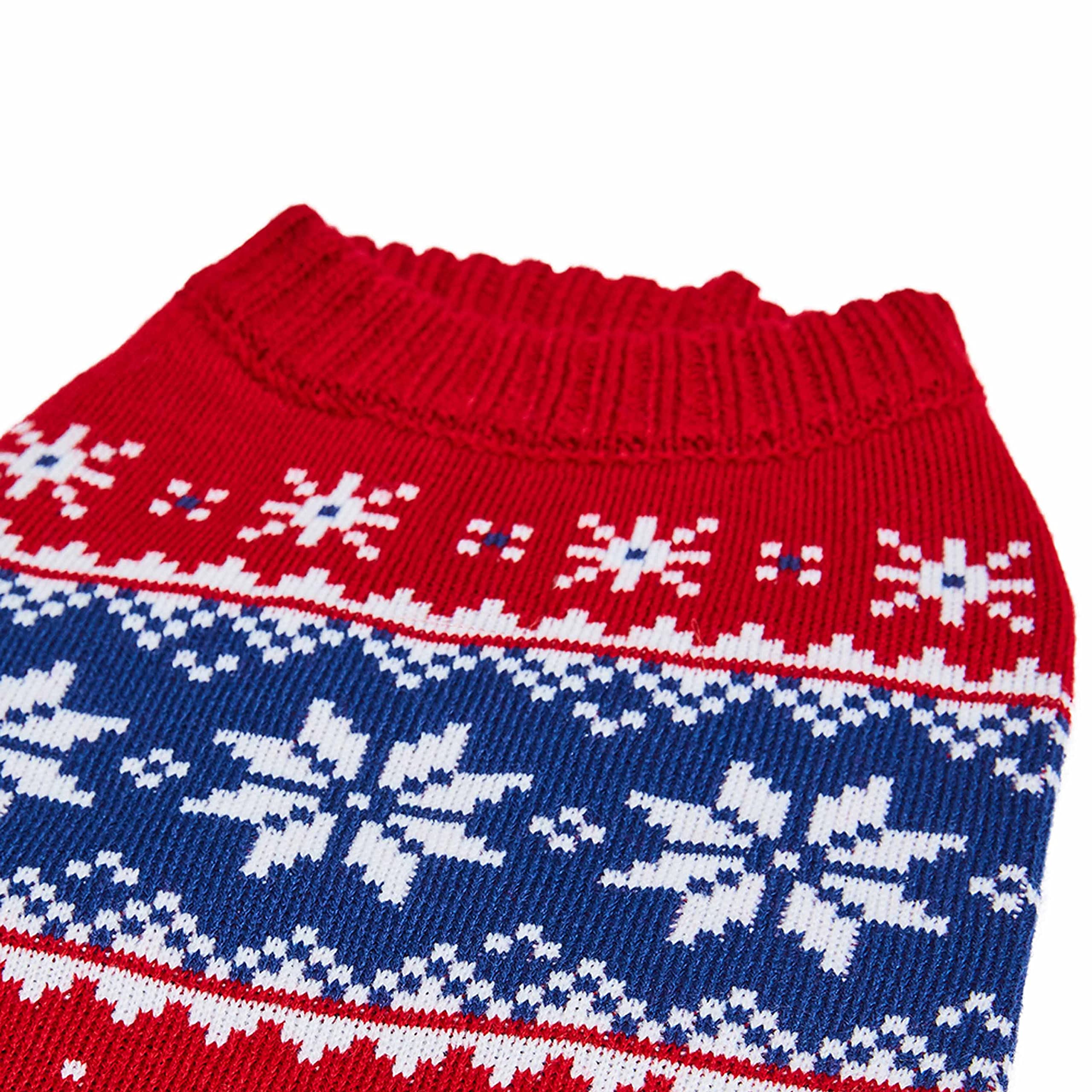 Blueberry Pet festive red design on a dog for winter outings and photos.