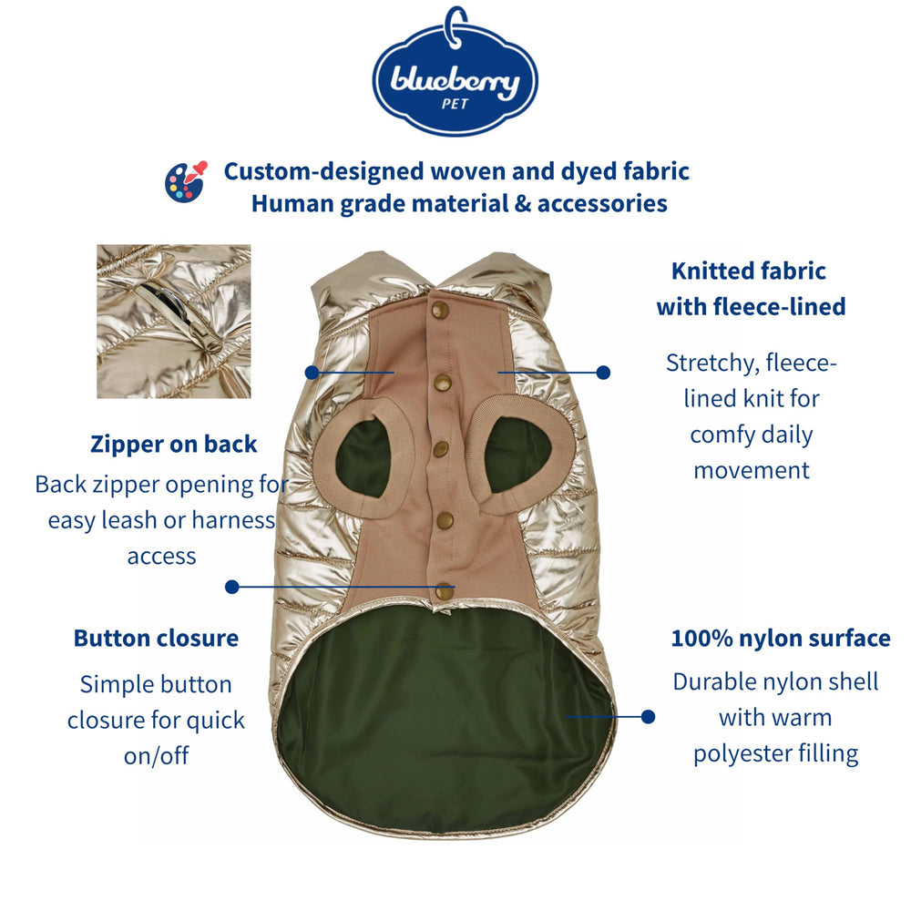 Blueberry Pet jacket with glossy gold finish for stylish cold-day wear