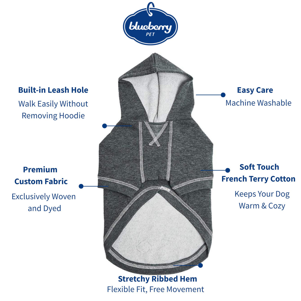Blueberry Pet hoodie charcoal back view shows snug fit for park outings