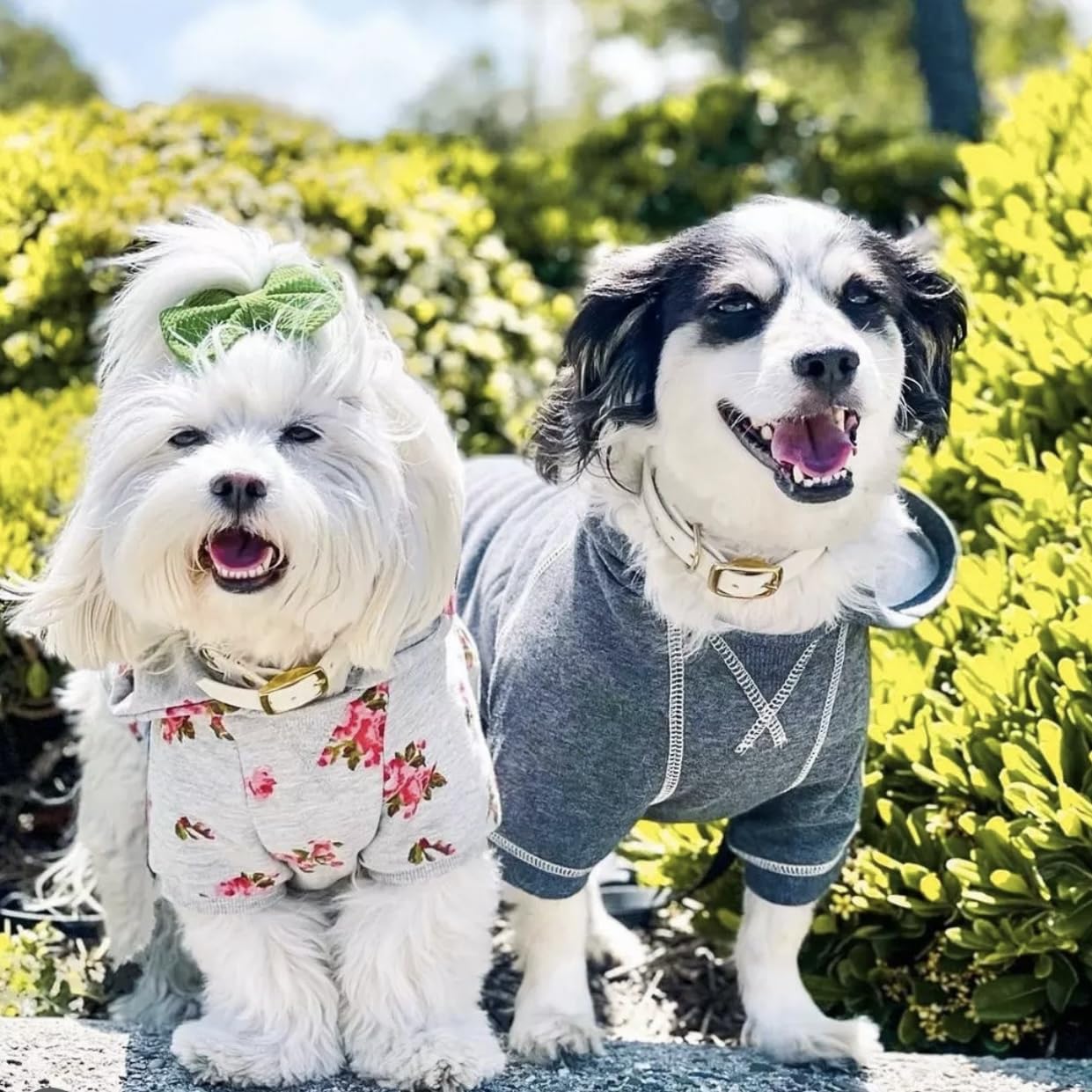 Blueberry Pet hoodie charcoal fabric closeup shows durable blend and easy care