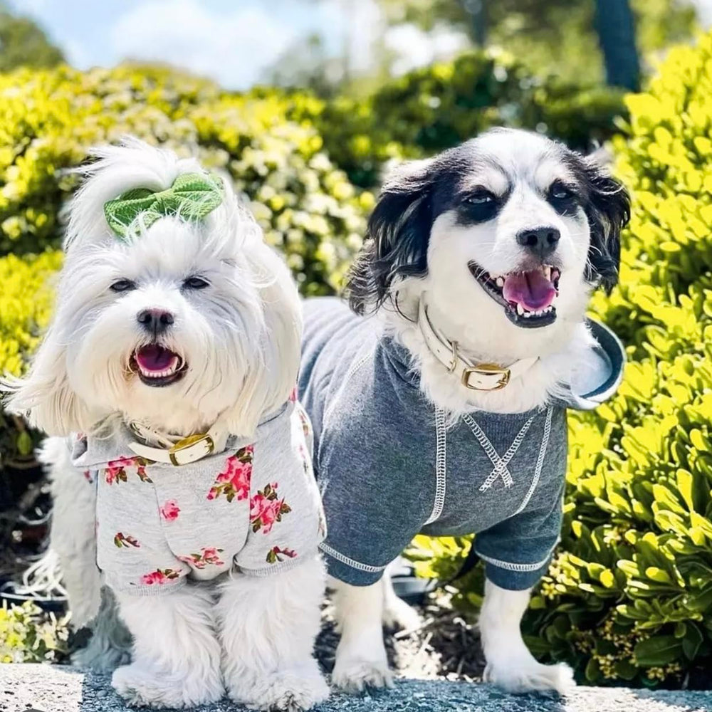 Blueberry Pet hoodie charcoal fabric closeup shows durable blend and easy care