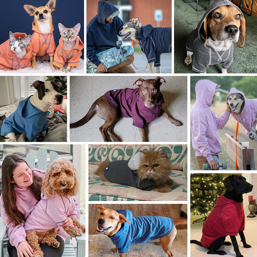 Blueberry Pet hoodie charcoal hood detail highlights cozy hood for wind protection