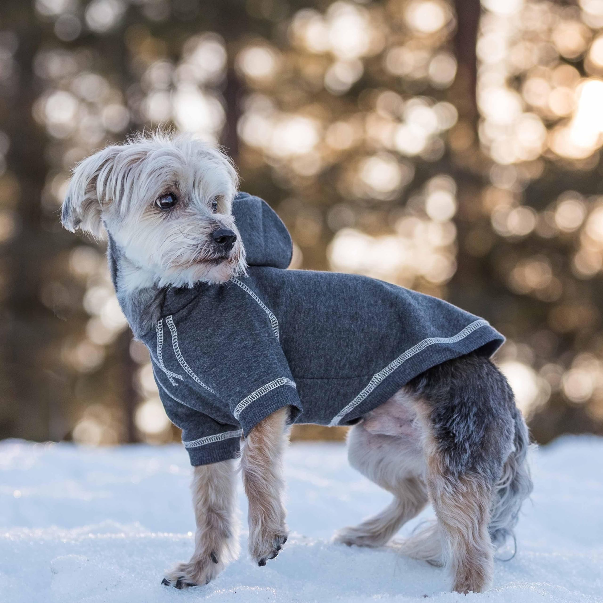 Blueberry Pet hoodie charcoal raglan sleeves display flexible movement