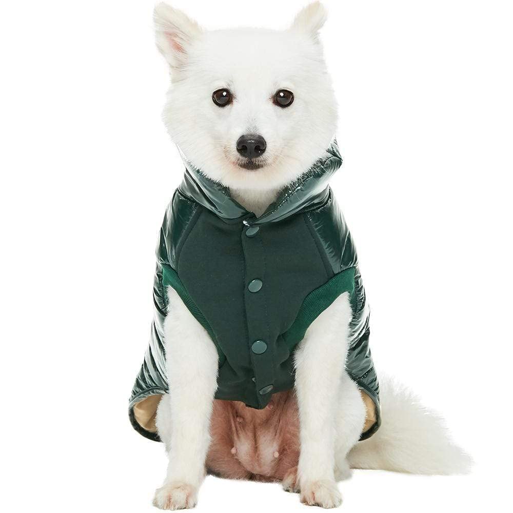Blueberry Pet hunter green quilted jacket ready for fall and winter outings.
