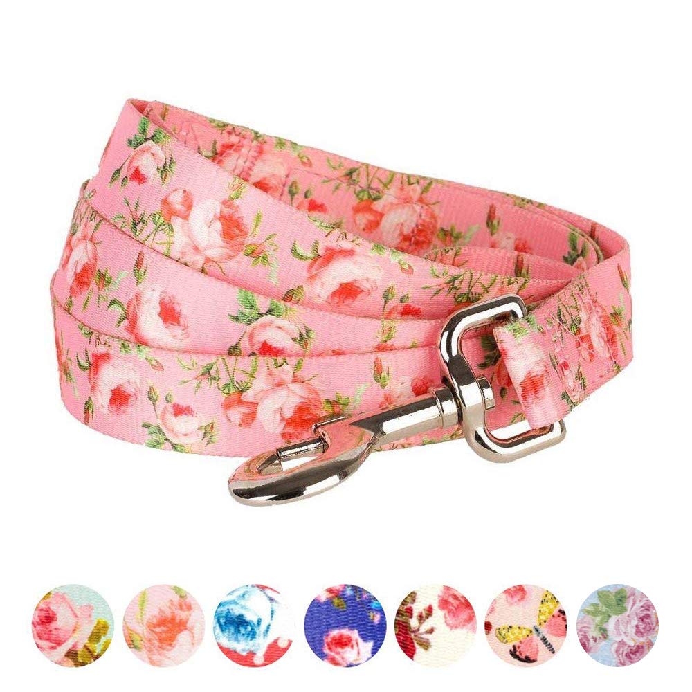Blueberry Pet leash with secure metal buckle attachment for reliable outdoor strolls.