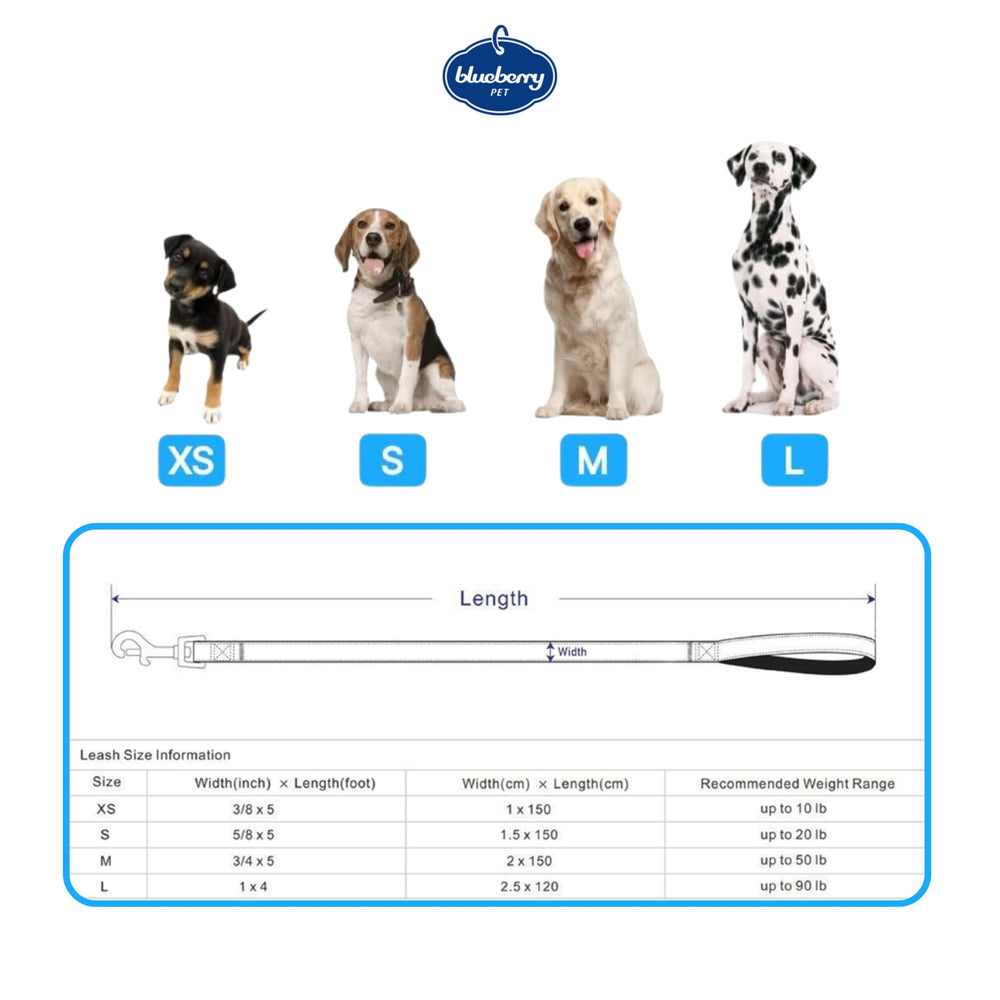 Blueberry Pet matching collar with rose pattern for coordinated puppy walking sets.