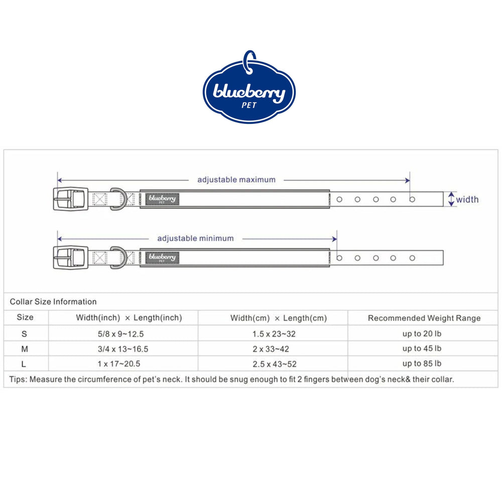 Blueberry Pet matching leash for coordinated outdoor walks.