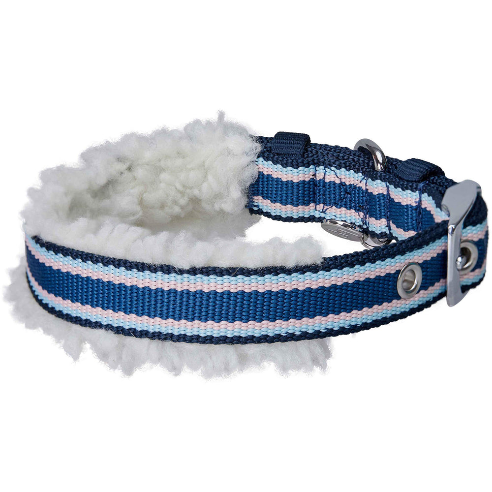 Blueberry Pet multi-color stripe collar side view adds vibrant daily style.