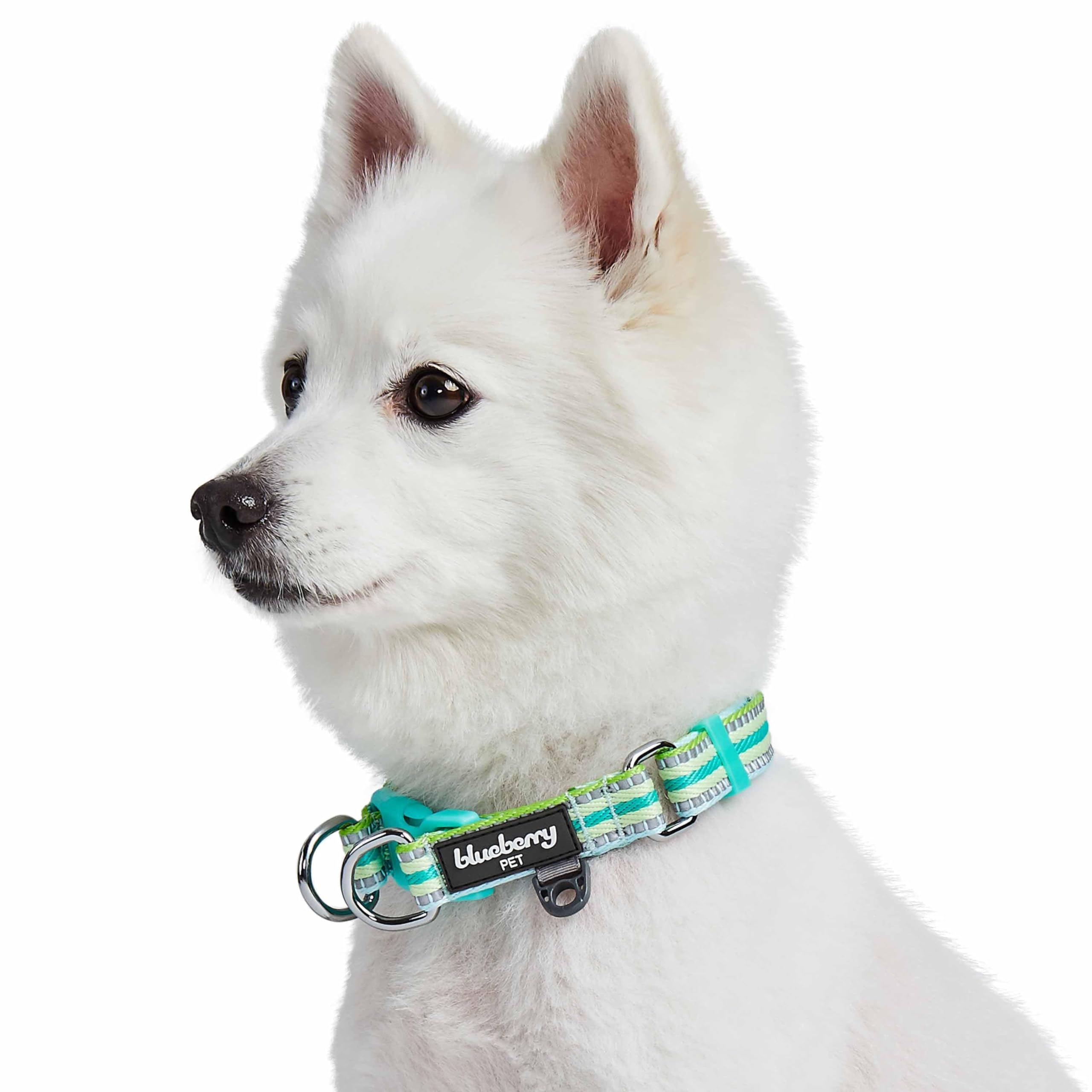 Blueberry Pet multicolor stripe collar blends style with visibility.