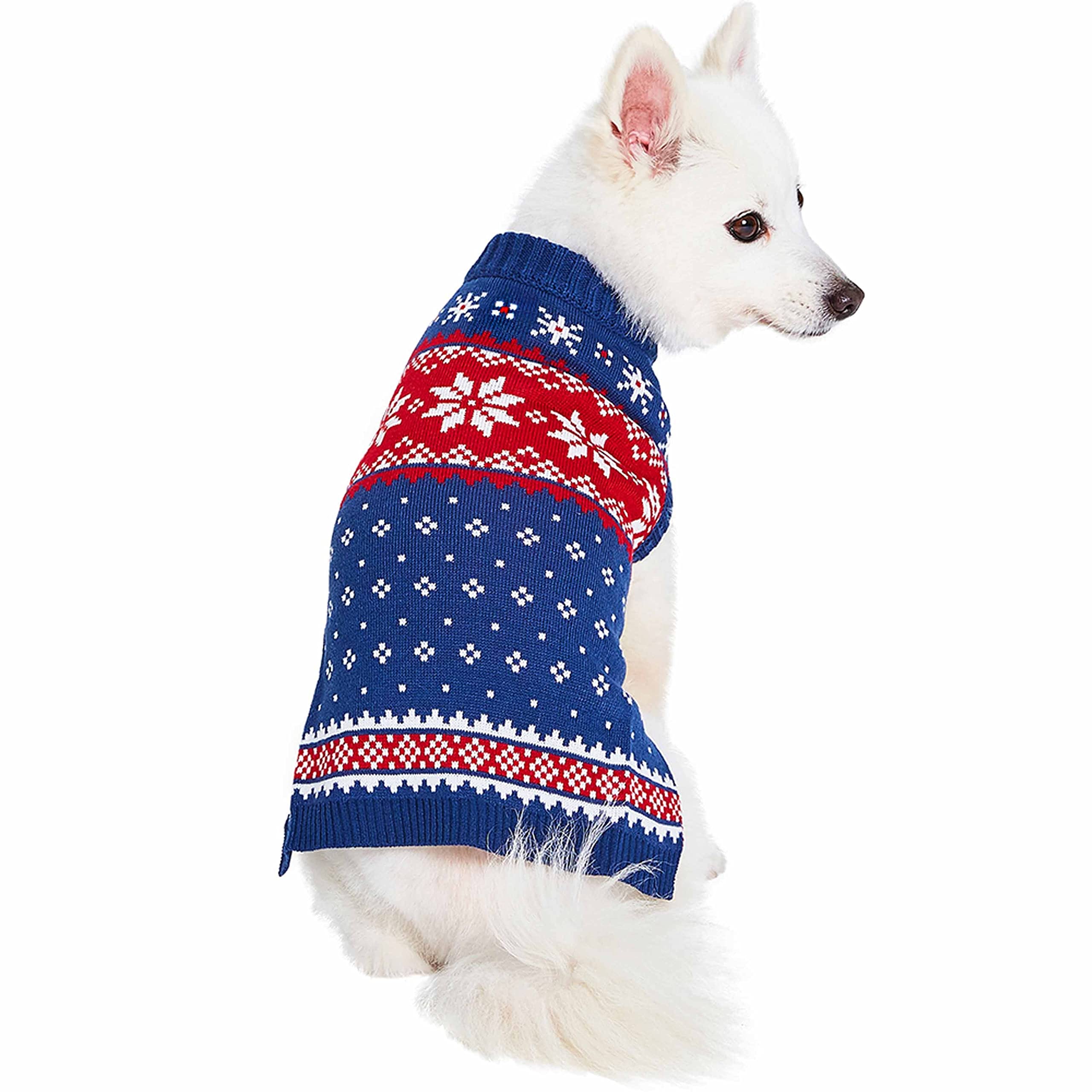 Blueberry Pet navy sweater on dog model showcases festive style for holiday photos.