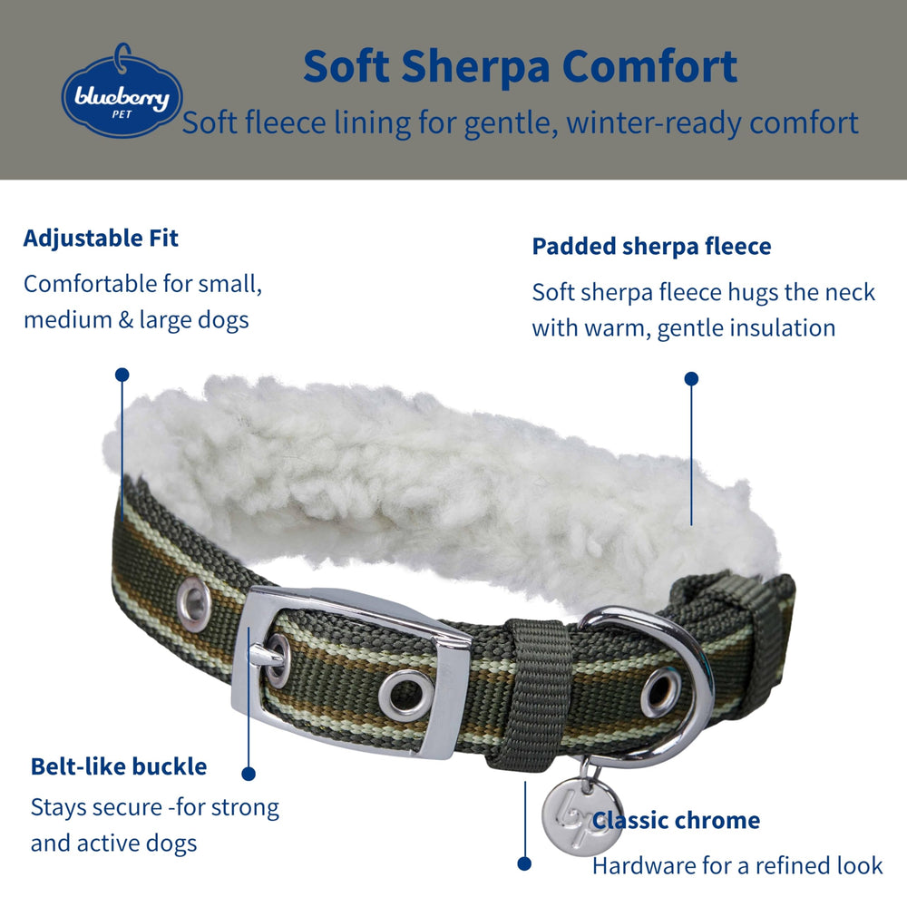 Blueberry Pet olive-green collar with chrome buckle for secure closure.