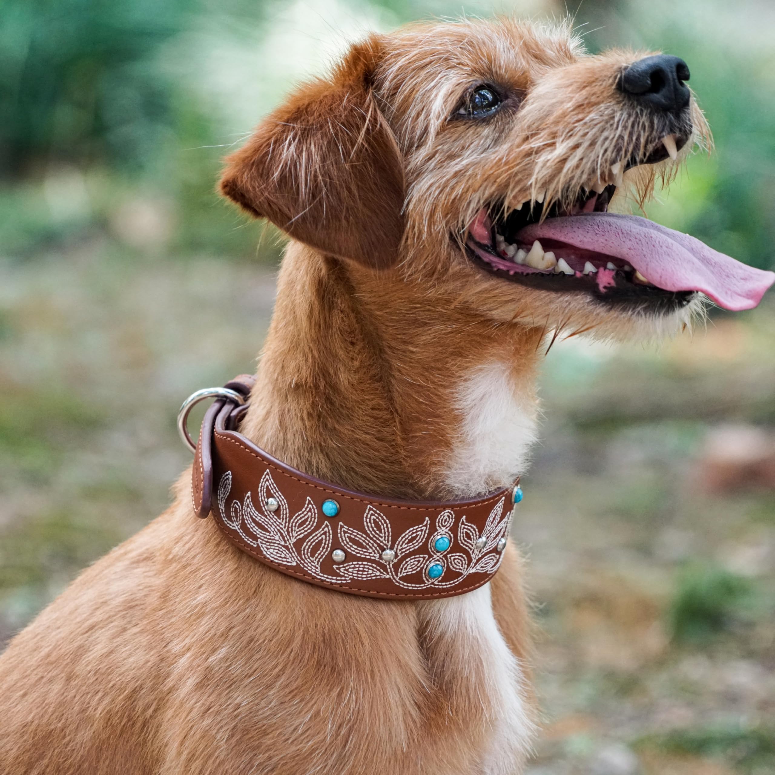 Blueberry Pet pearl-accents collar complements turquoise details for a premium look.