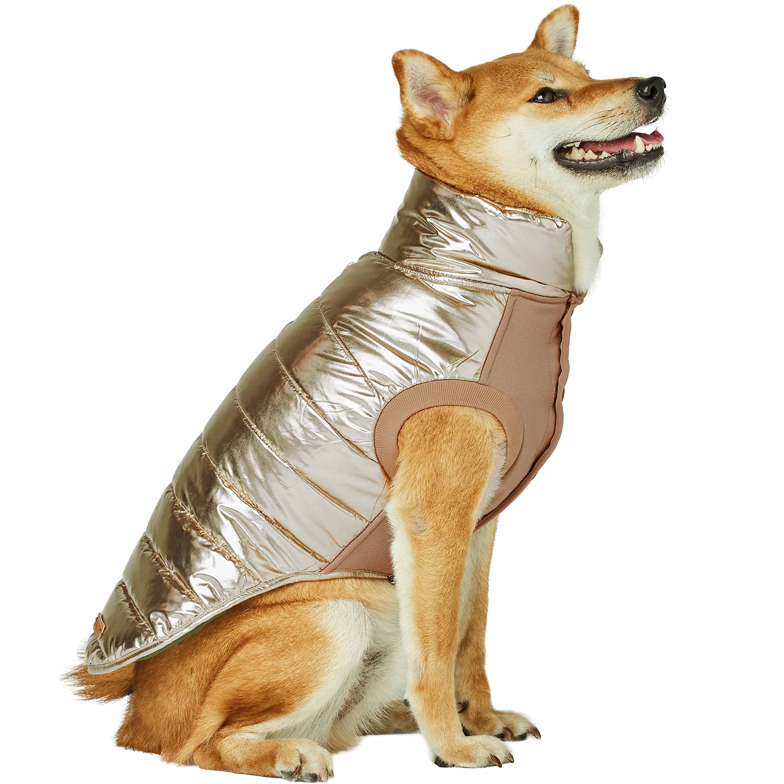 Blueberry Pet polyester padding provides warmth without bulk